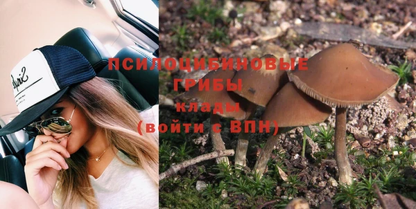 соль курить ск Верхний Тагил