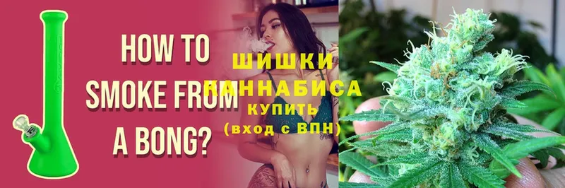 где можно купить   Белёв  Бошки марихуана индика 